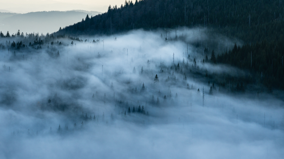 In a land of mirages