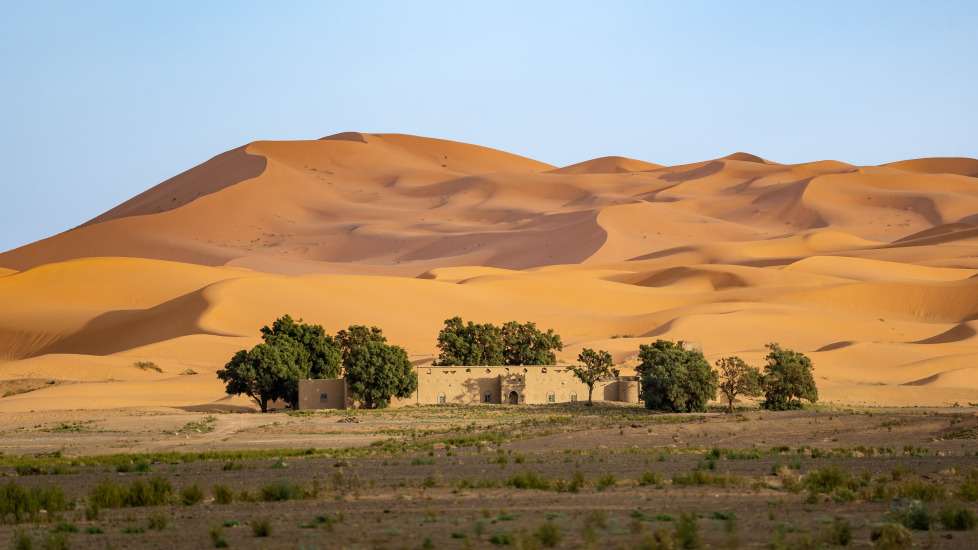 First encounter with the dunes