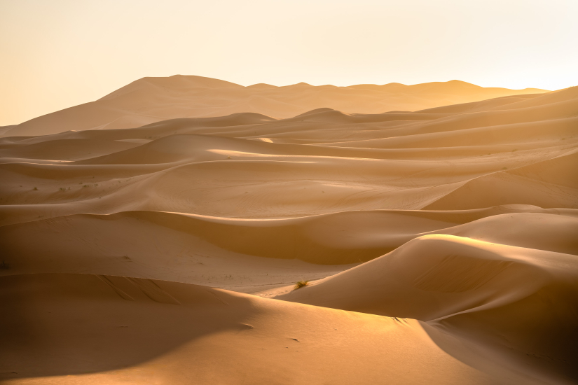 Layers of the desert