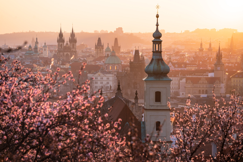Mandloně na Petříně