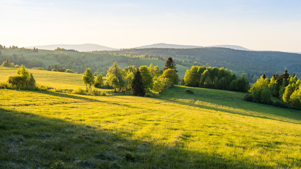 Hřeben Orlických hor
