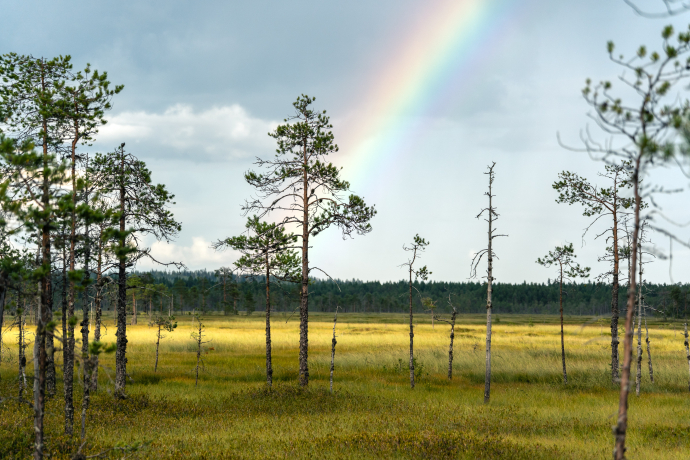 Rainbow over Patvinsuo
