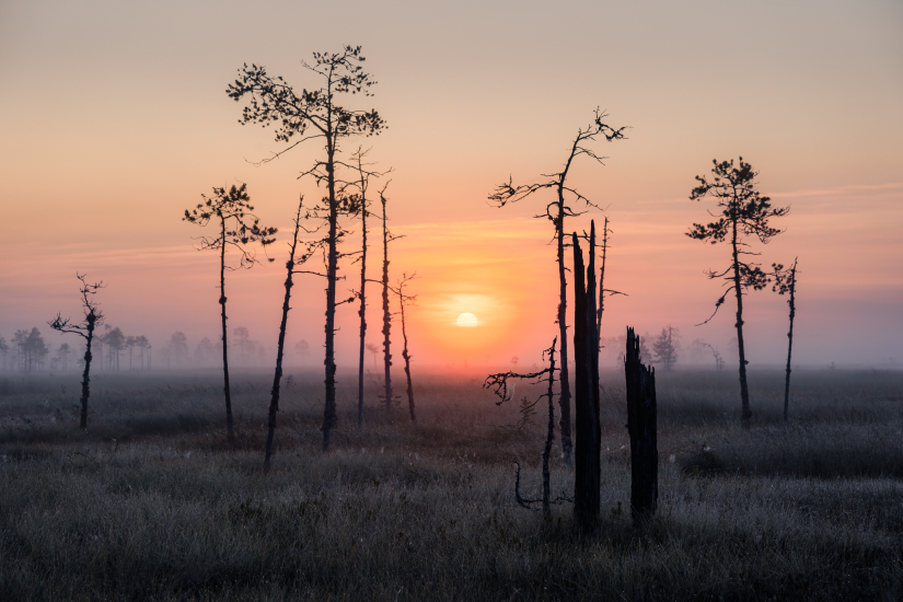 Sunrise in Patvinsuo