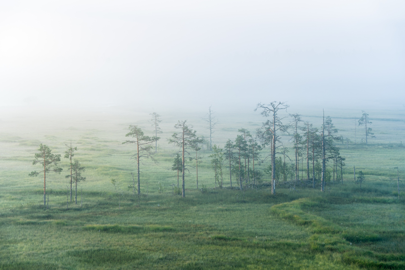 Silence, which does not belong to humans