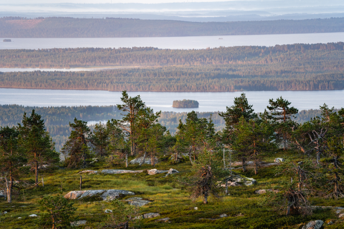 Kitkajärvi