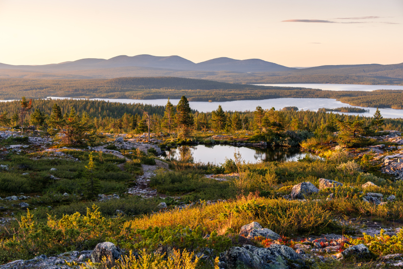 Hřeben Pallas-Yllästunturi