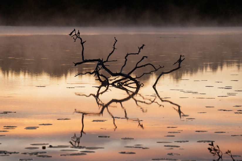 Reflection on the surface