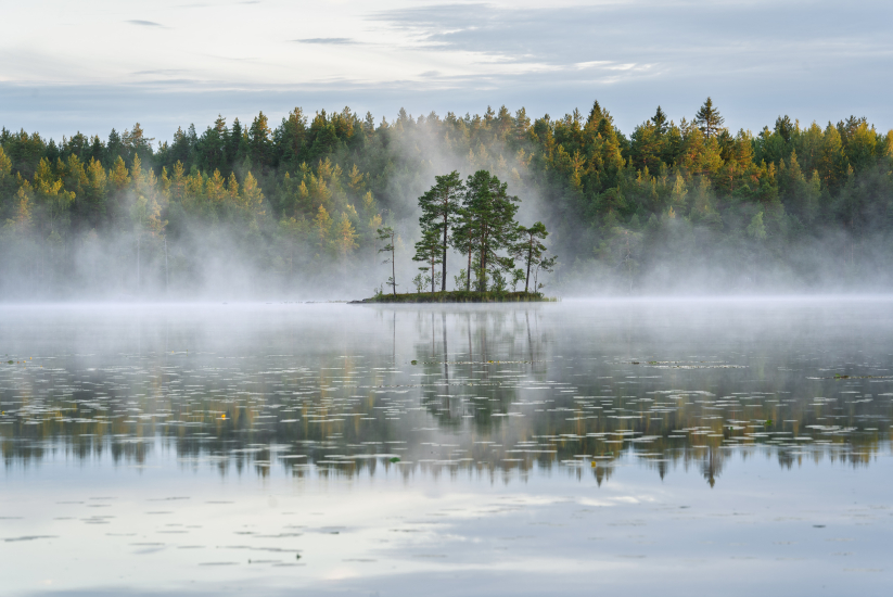 Island on the lake