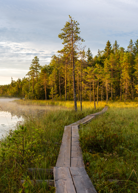 Salamajärvi