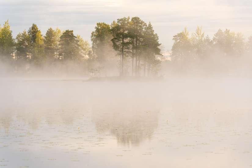 Mists in Salamajärvi