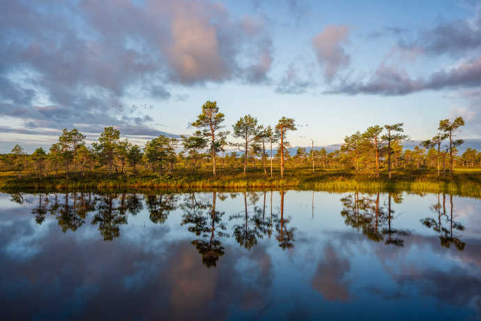 Kauhaneva–Pohjankangas