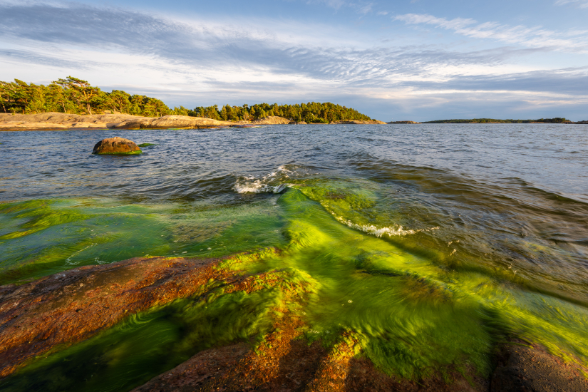Green shores on Porkkala