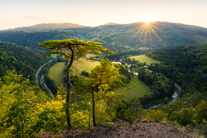 Meander of the Svratka River