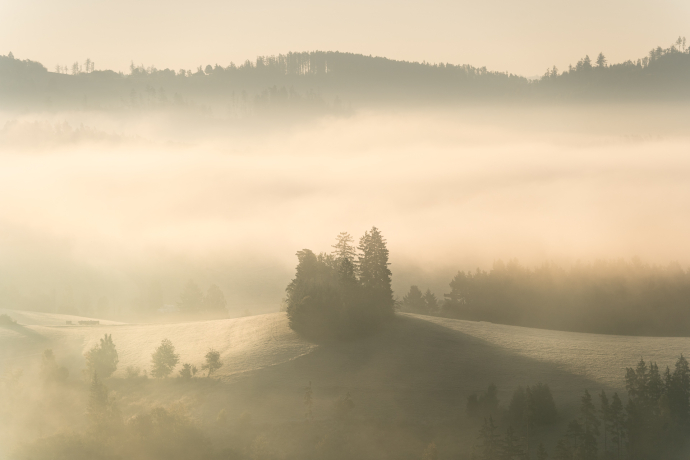 A hill in the fog