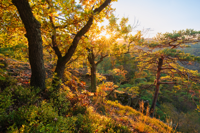 Autumn on the rocks