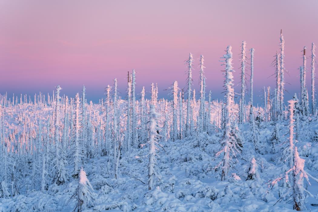 Trojmezenská sirkárna
