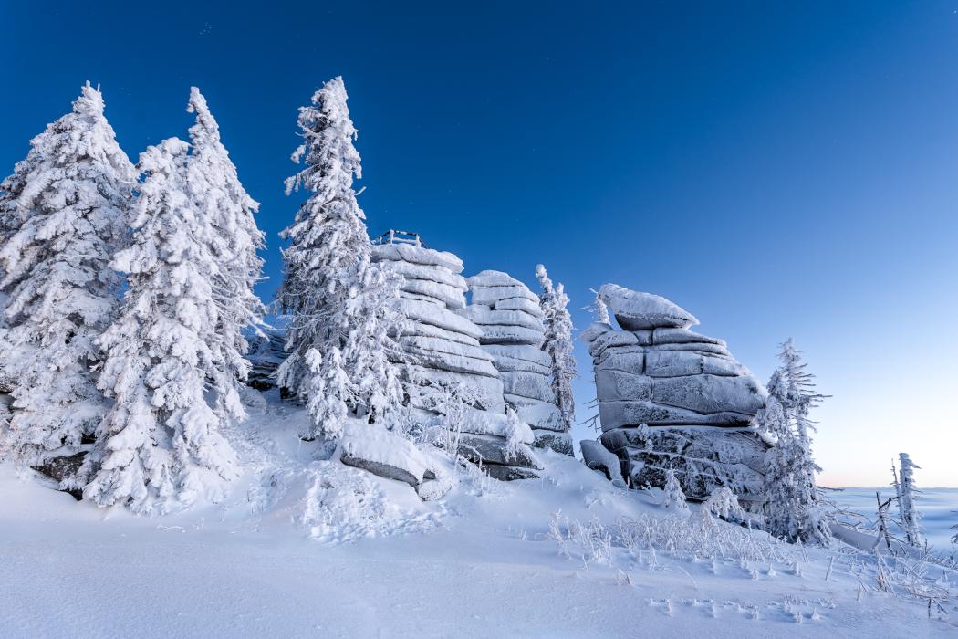 Zimní Třístoličník