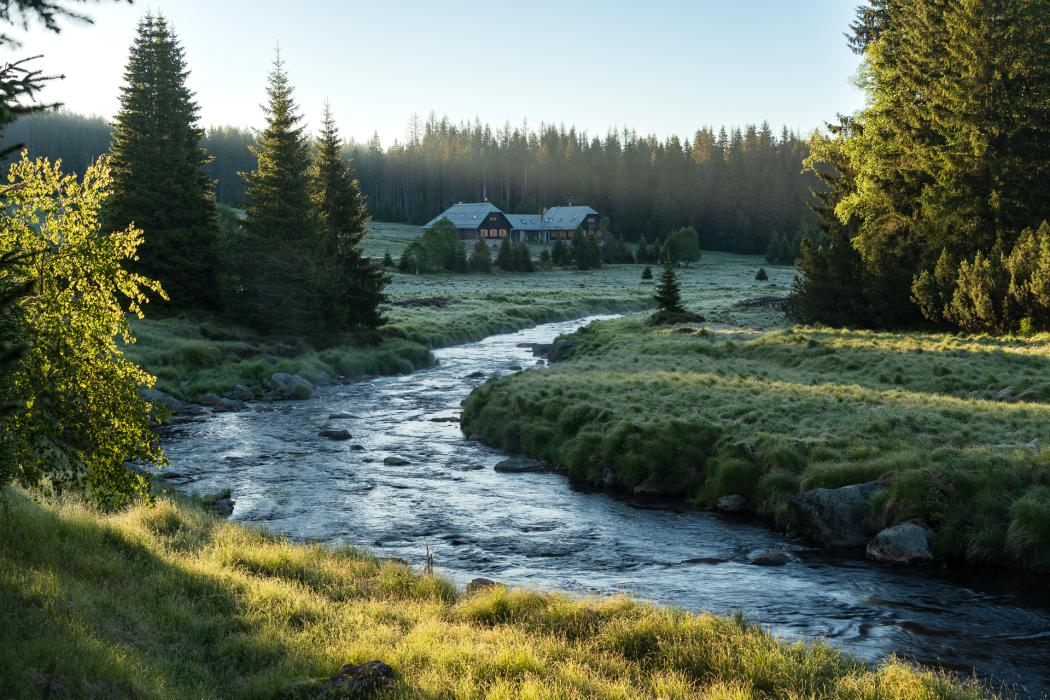 Rybárna