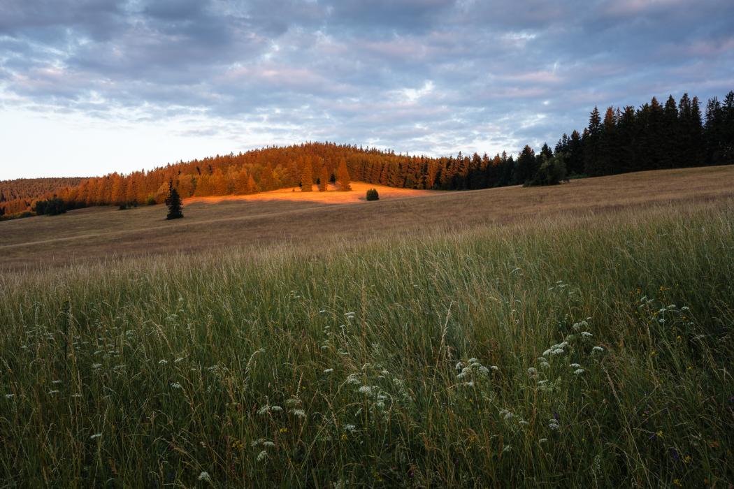 At Hraničky
