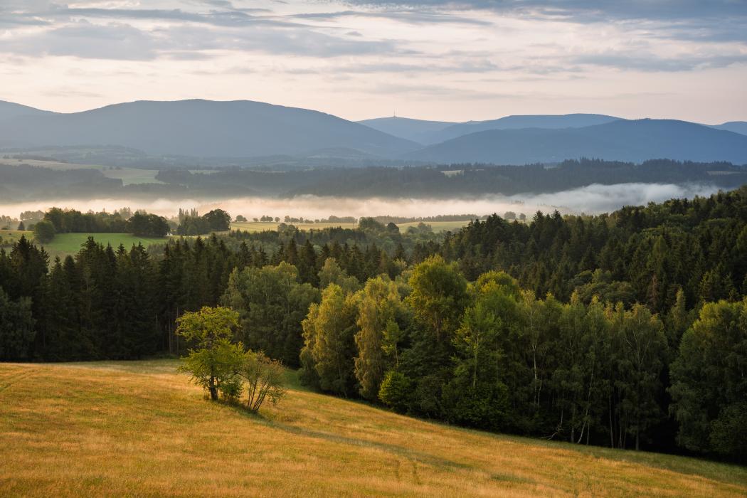 Main ridge of Jeseníky mountains