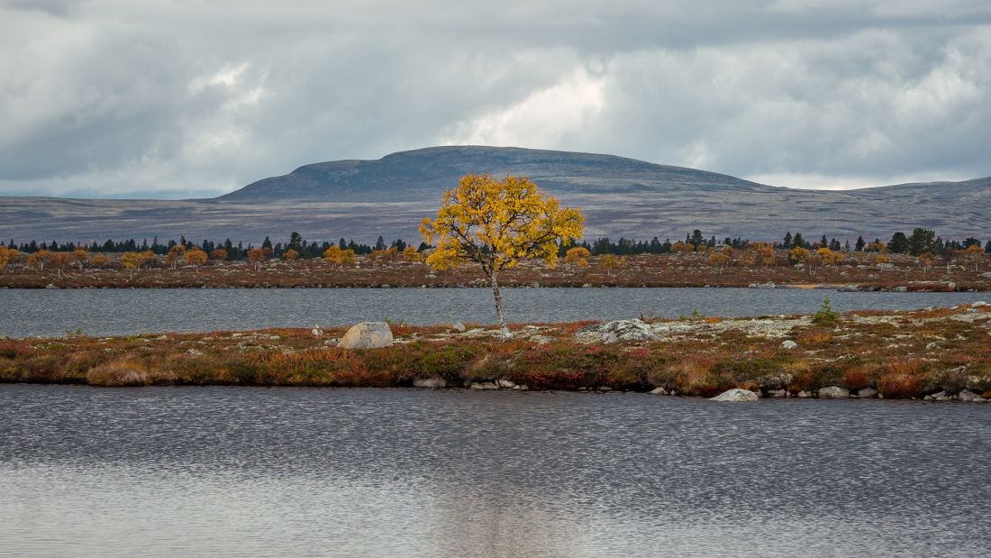 Zpět mezi jezery Røvoltjønnan.