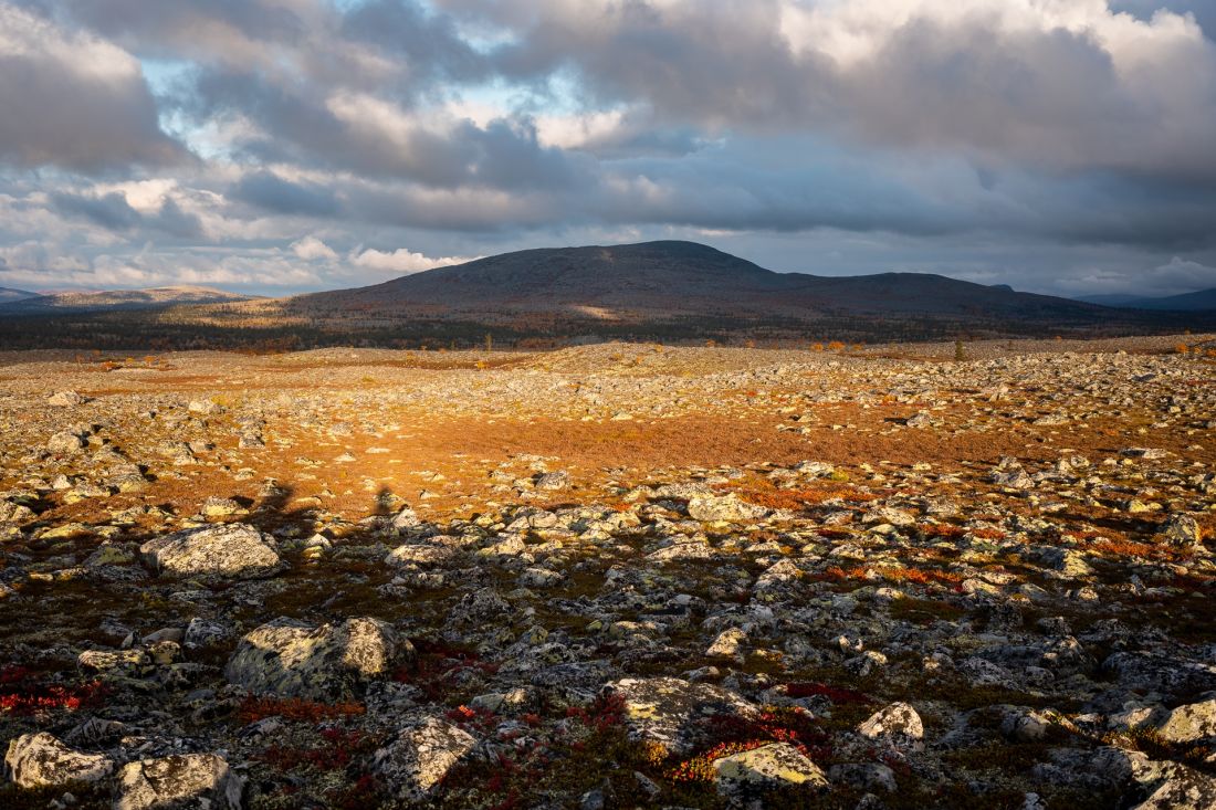 Začátek údolí Grøtådalen.