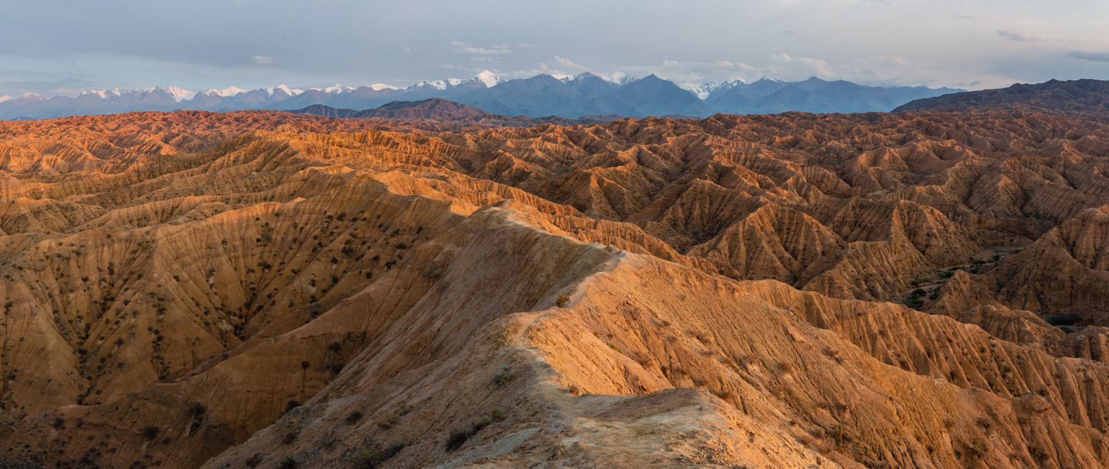 Kaňony zapomenutých řek, jedno z nejpoutavějších míst celého Kyrgyzstánu. Se zvrásněnou pouštní krajinou ostře kontrastují zaledněné vrcholy Těrského Alatau.
