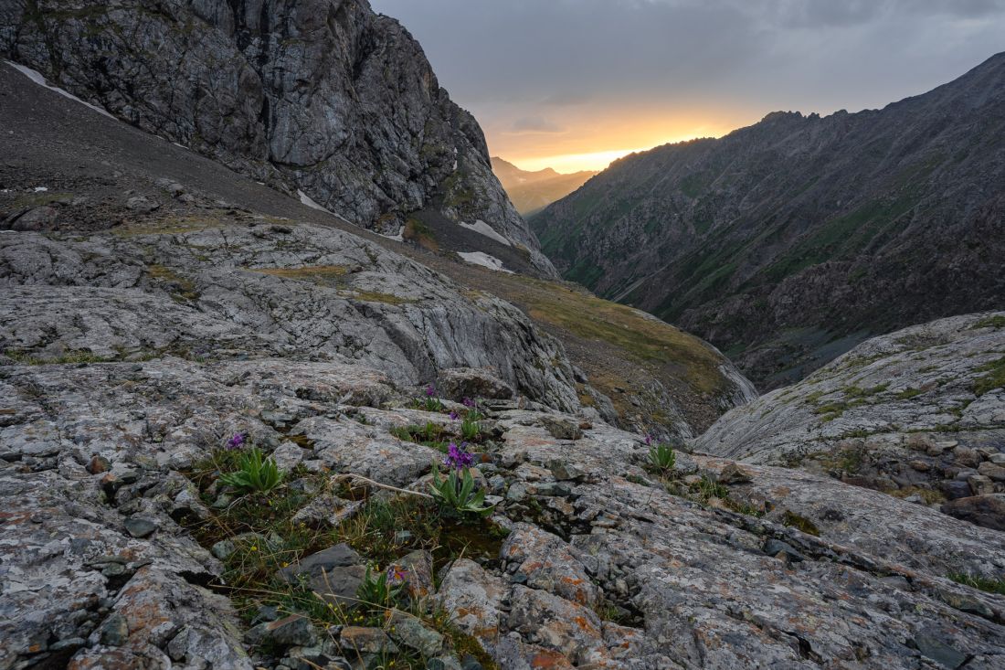 Západ slunce nad strží u jezera.