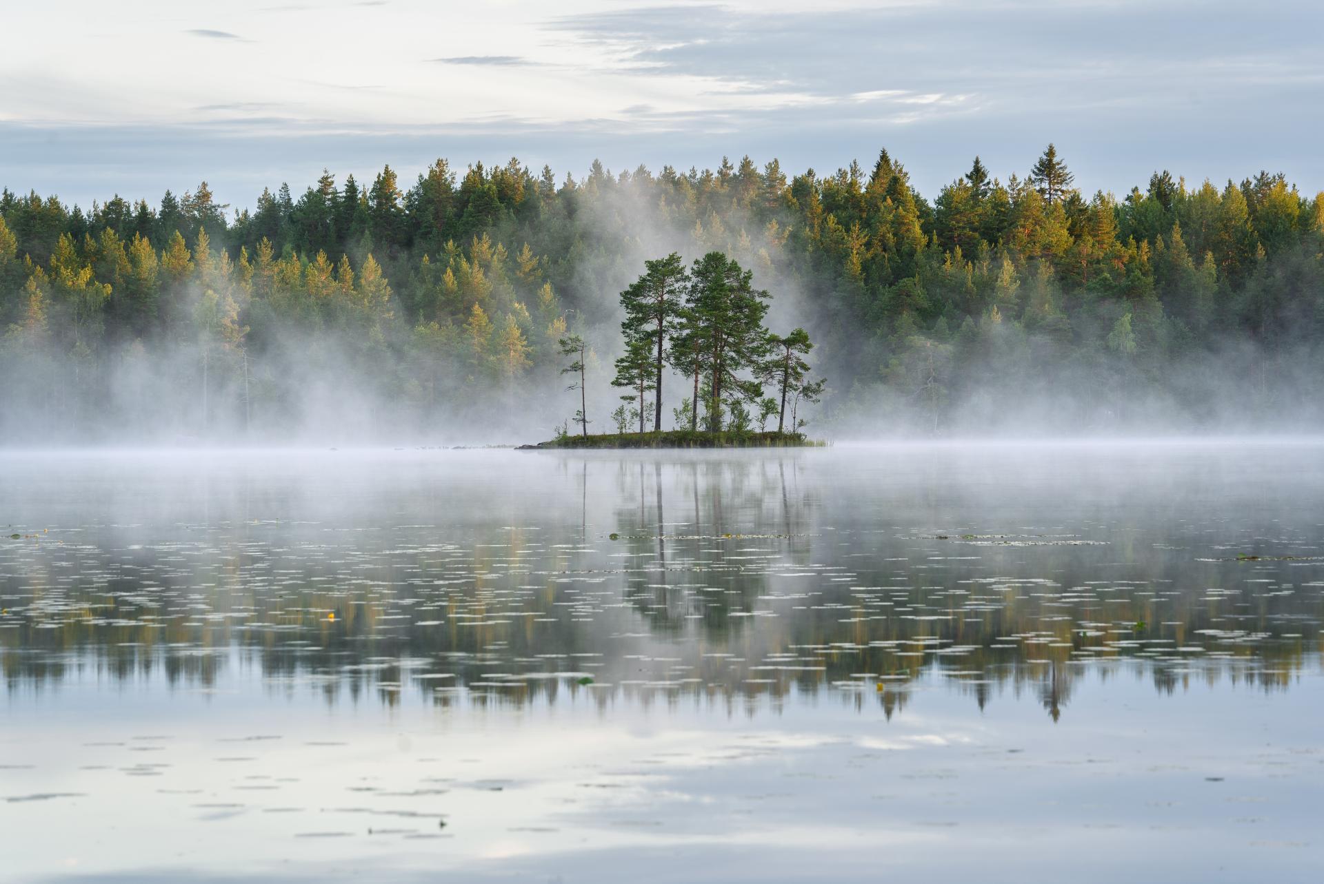 Farewell to the Finnish summer II