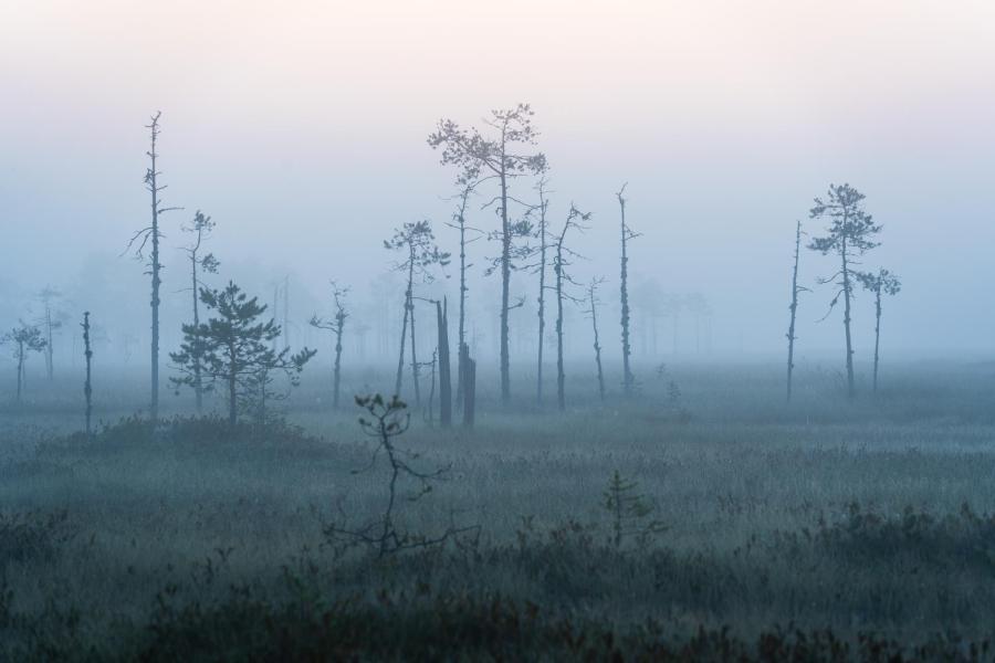 Farewell to the Finnish summer