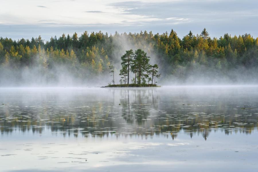 Farewell to the Finnish summer II
